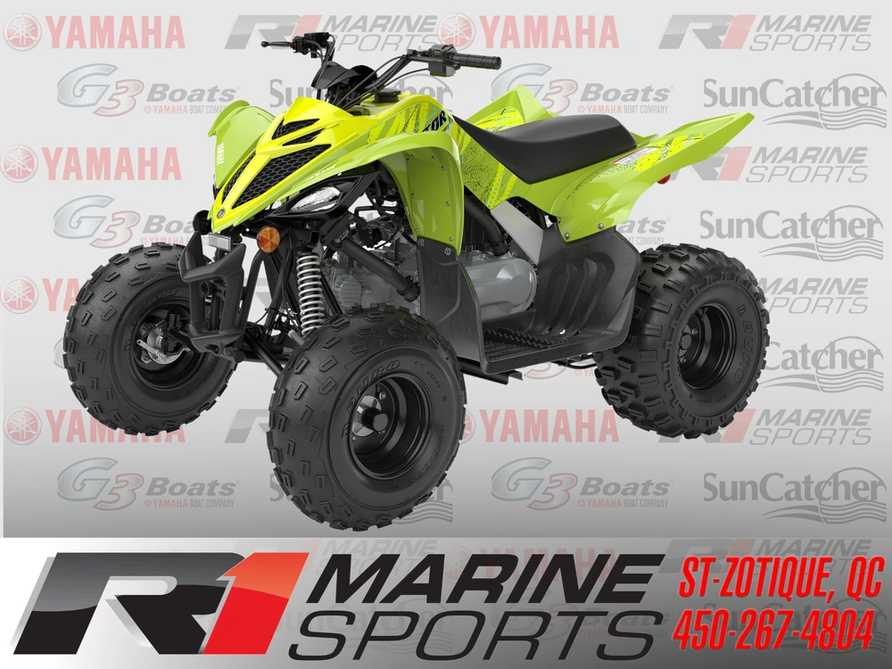 2026 Yamaha Raptor 110 alt