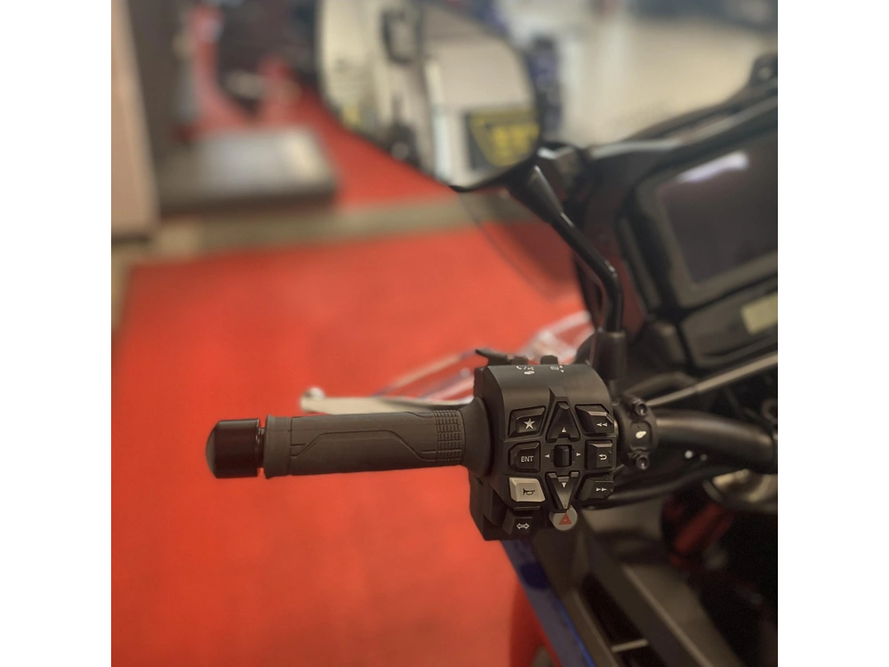2025 Honda Nt1100 alt