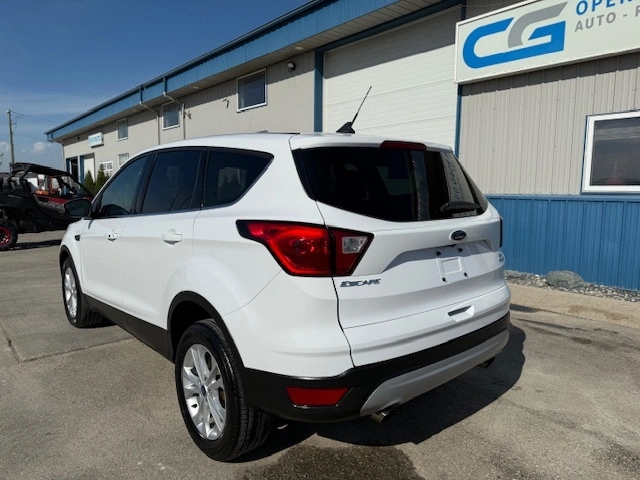 2019 Ford Escape Se alt