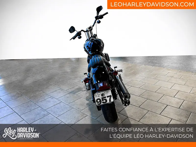 2023 Harley-Davidson FXBBS STREET BOB 114