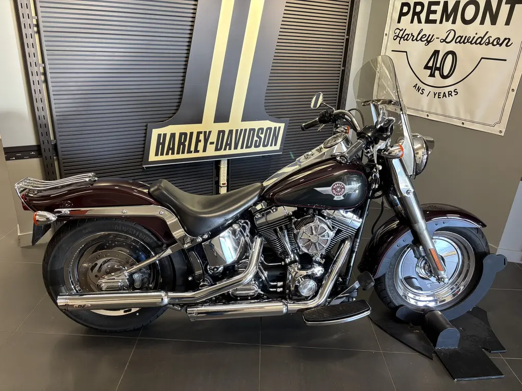2005 Harley-Davidson SOFTAIL FAT BOY FLSTF FLSTF