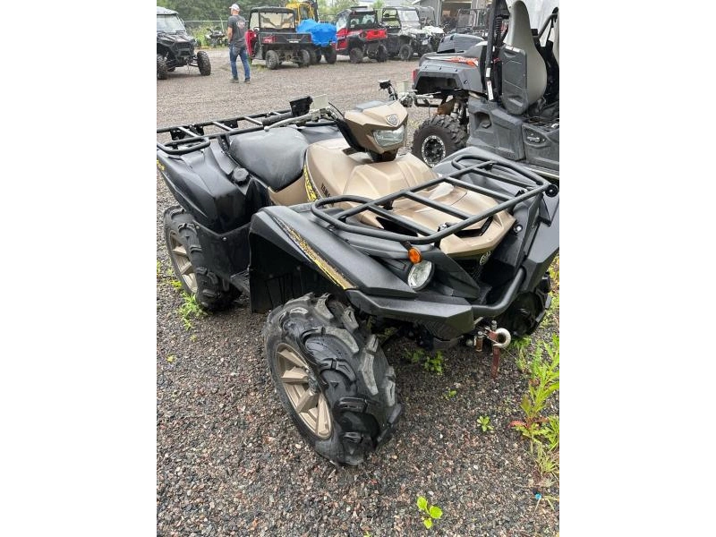 2020 Yamaha Yamana Grizzly Se alt