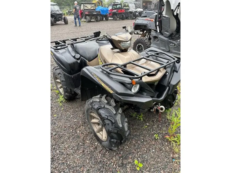 2020 Yamaha Yamana Grizzly SE thumbnail 2