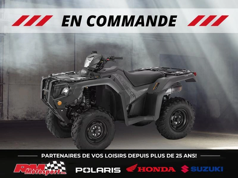 2026 Honda Rubicon 520 Irs Eps alt