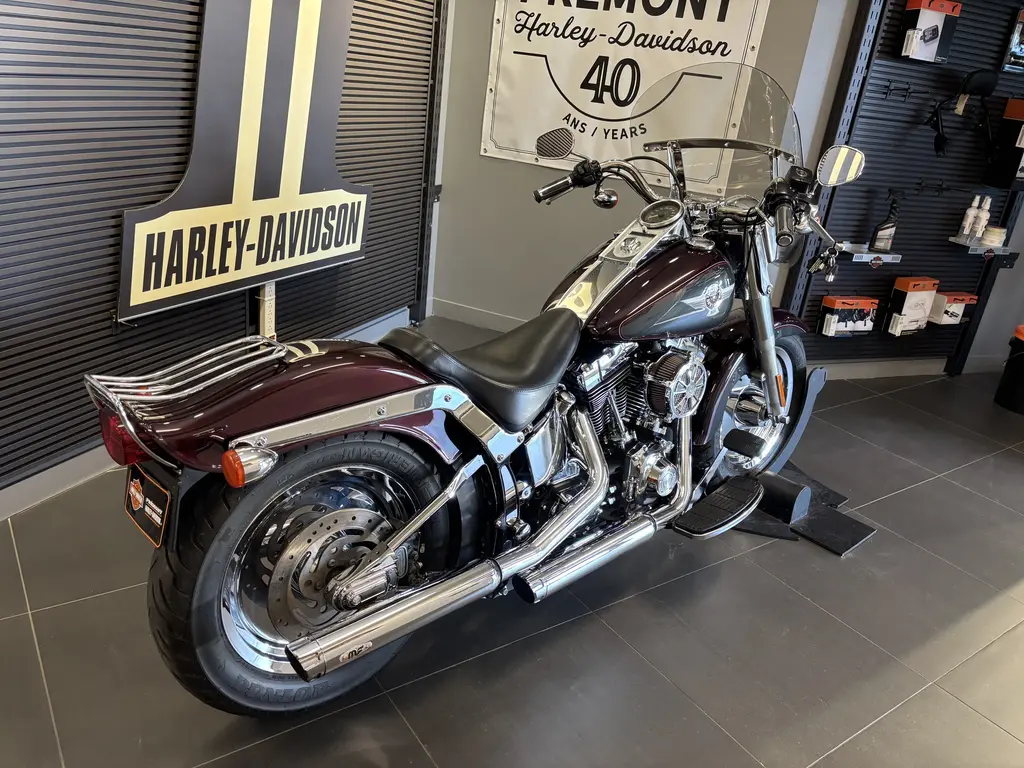 Harley-Davidson SOFTAIL FAT BOY FLSTFFLSTF 2005