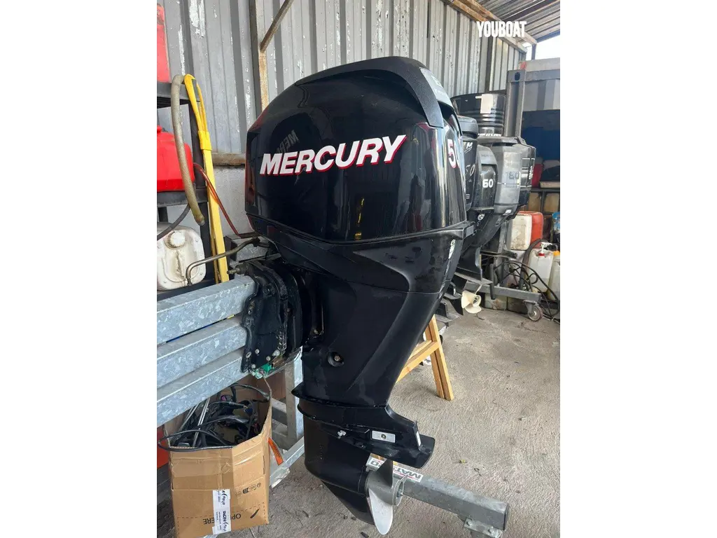 2013 Mercury 50 elpt ct