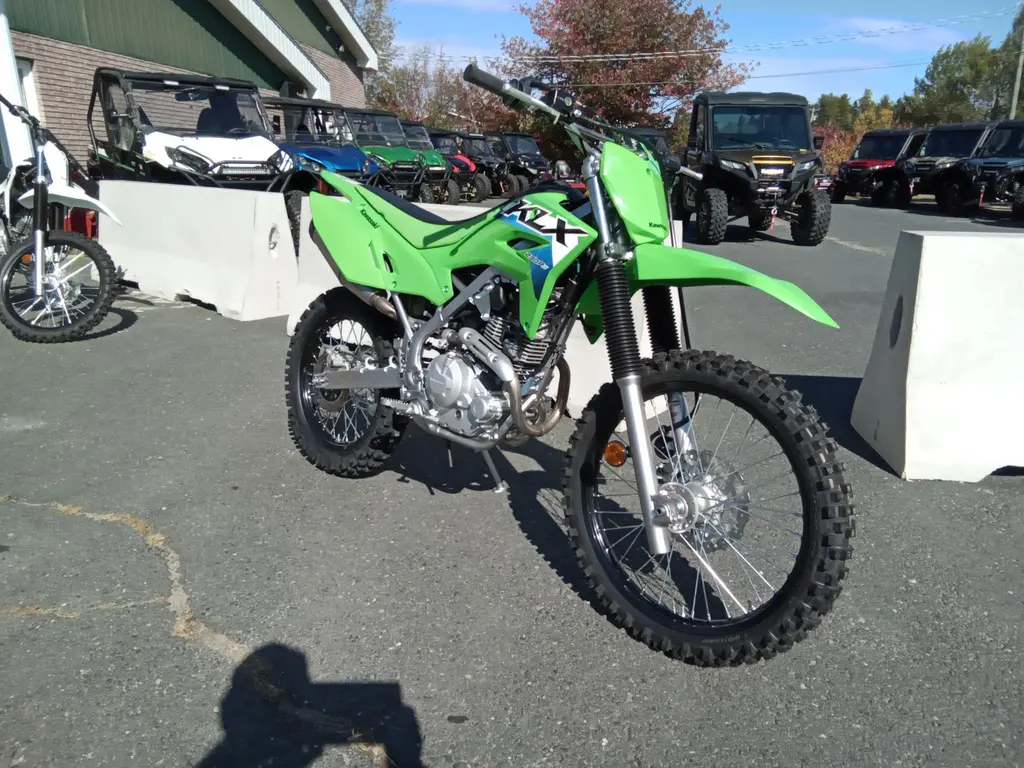 2026 Kawasaki KLX 230 RS