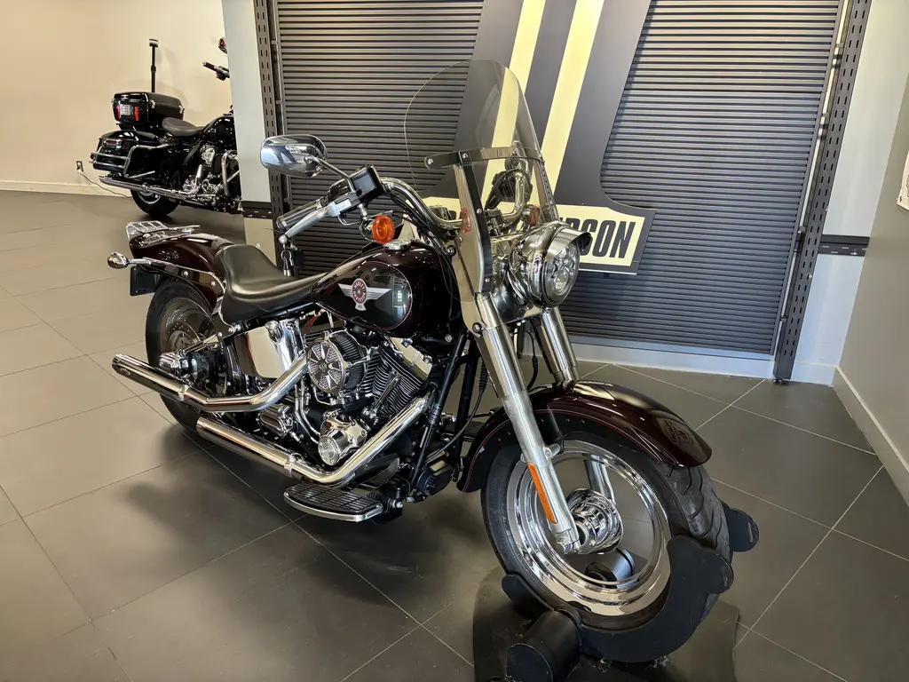 Harley-Davidson SOFTAIL FAT BOY FLSTFFLSTF 2005