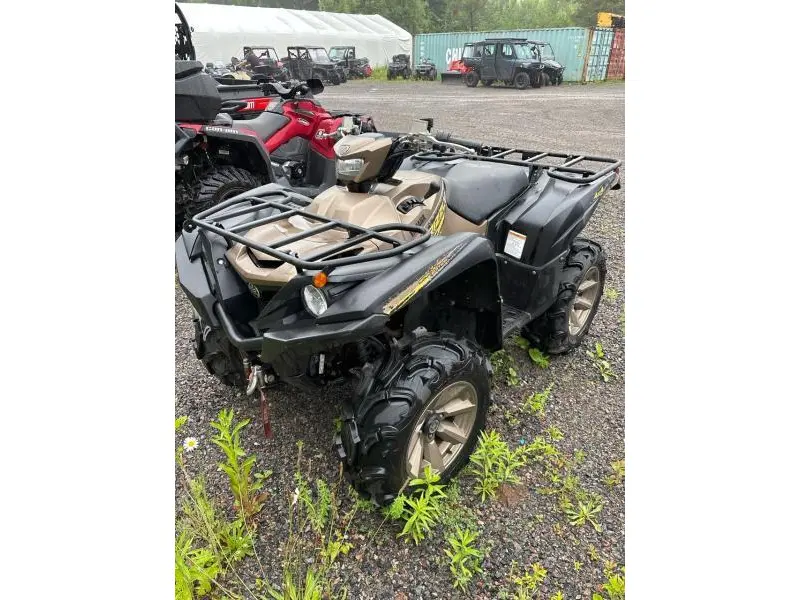 2020 Yamaha Yamana Grizzly SE