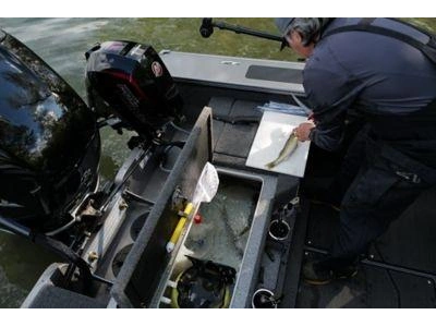 2026 Lund Boat Co 2075 Pro V Sport alt