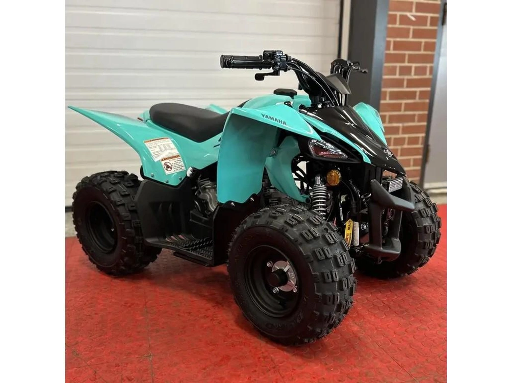 2025 Yamaha Yfz 50 alt