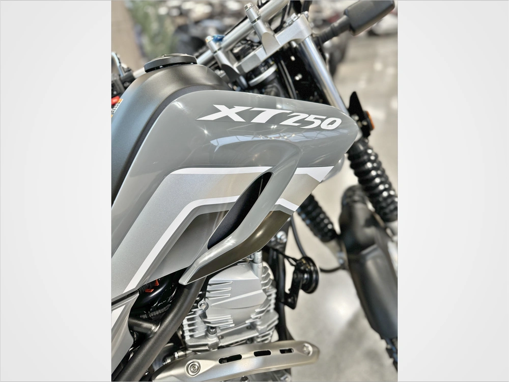 2024 Yamaha Xt250 alt