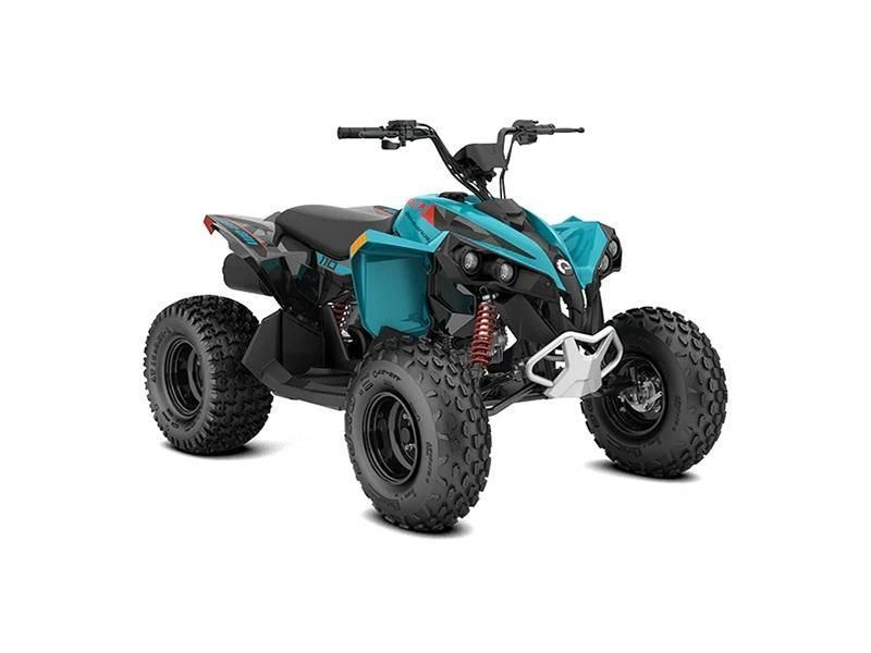 2026 Can-am Renegade 110 Efi 3mtb-c alt