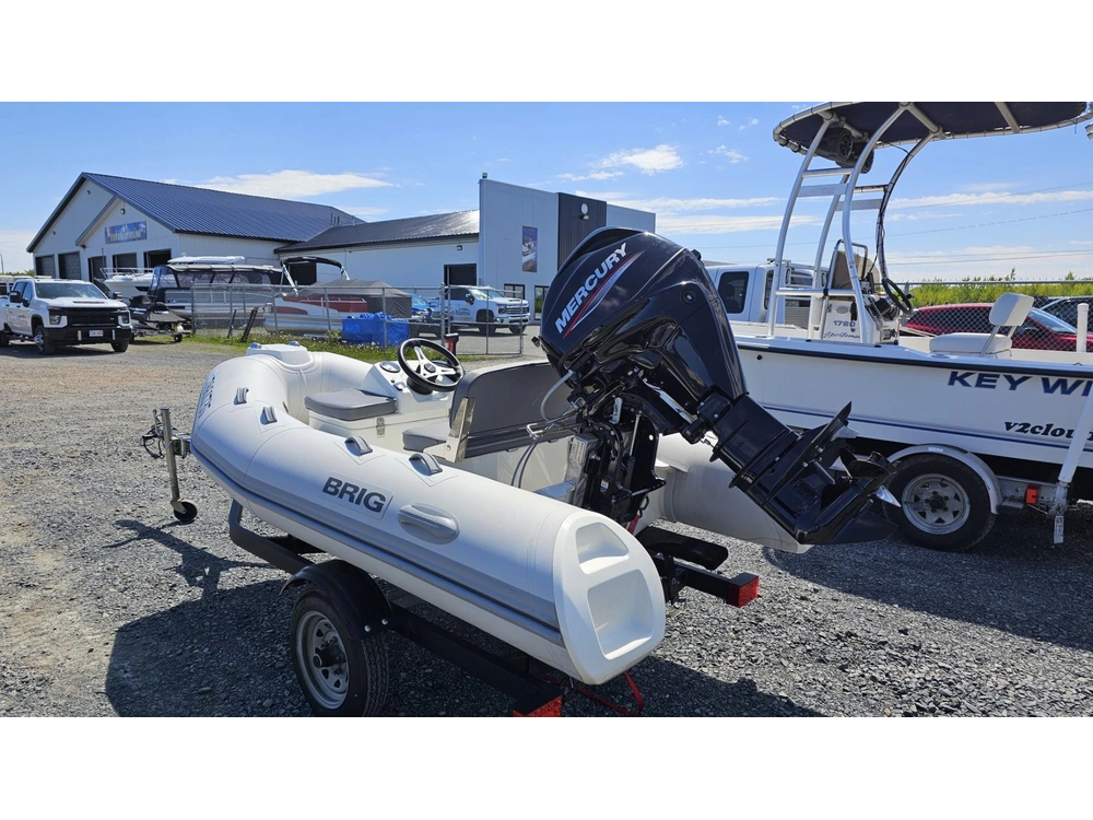 Brig Falcon 300 2020 alt