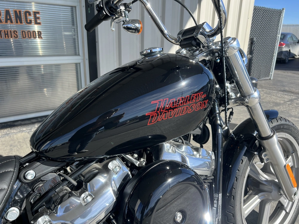 2024 Harley-davidson Softail Standard alt