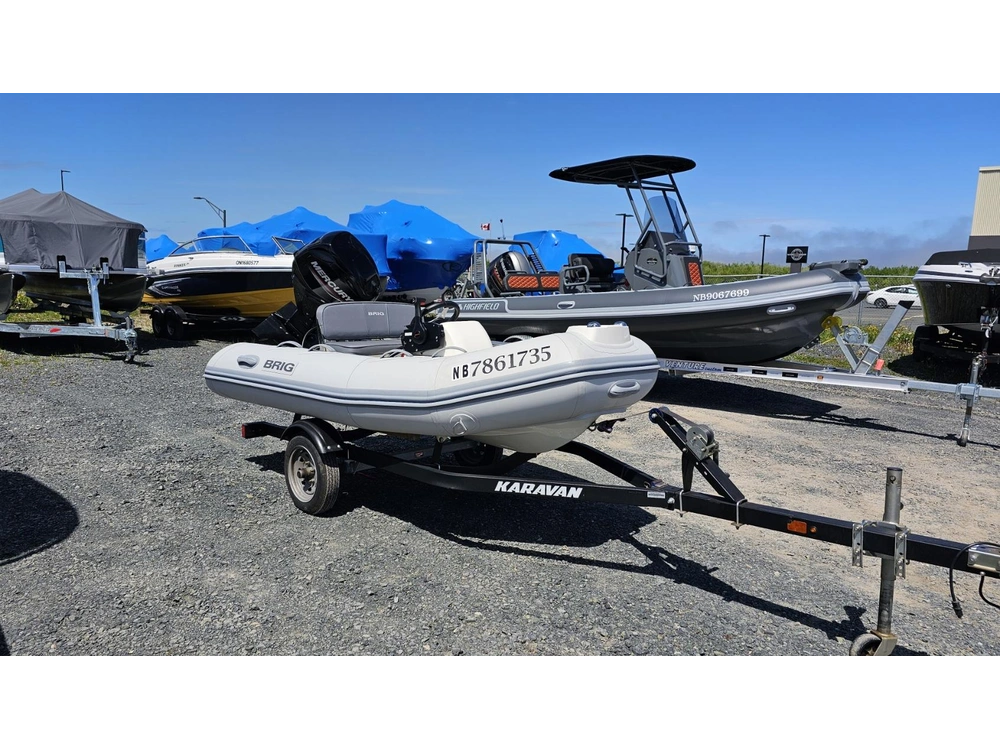 Brig Falcon 300 2020 alt