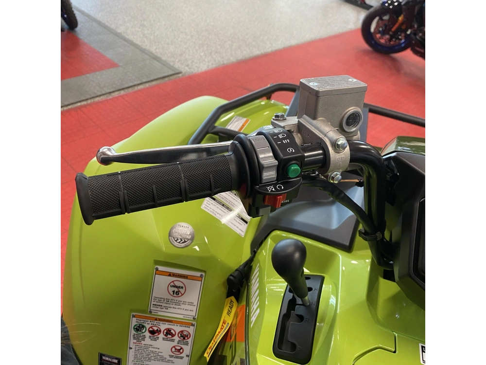 2026 Yamaha Grizzly Eps alt