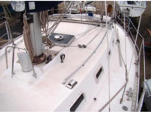 1984 Other Cs 36 alt