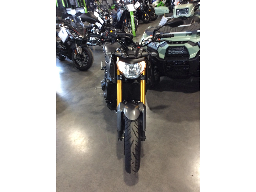 Yamaha Fz-09 2015 alt