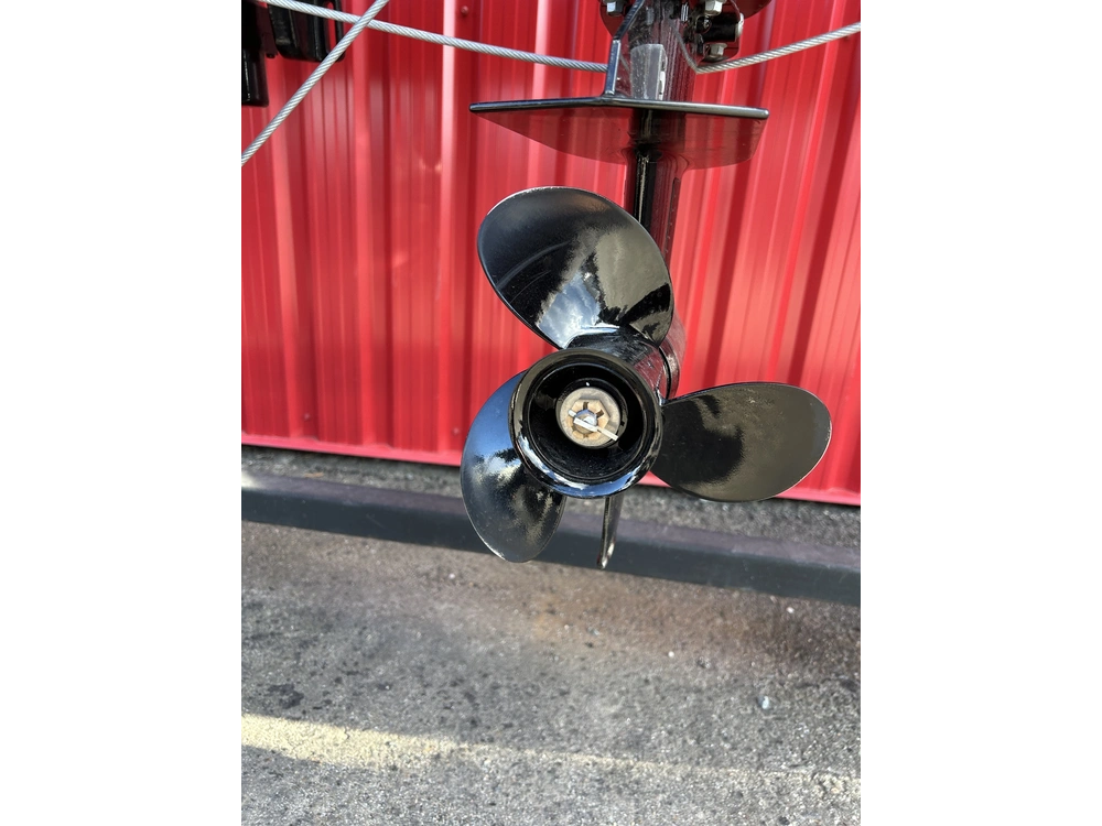 2023 Mercury 15mh Efi alt