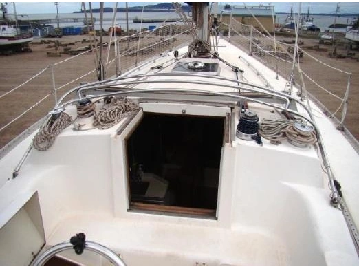 1984 Other Cs 36 alt