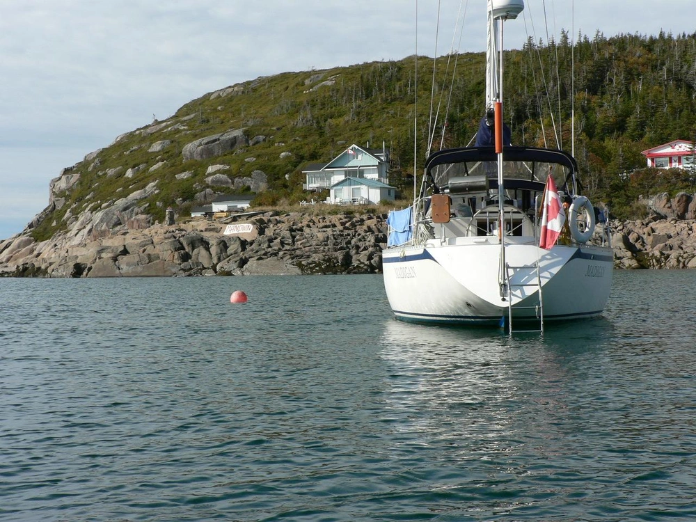 1984 Other Cs 36 alt