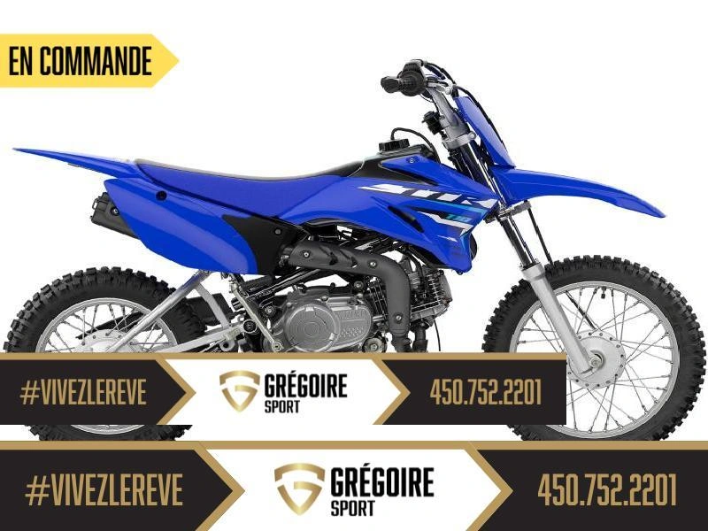 Yamaha Tt-r110 2026 alt