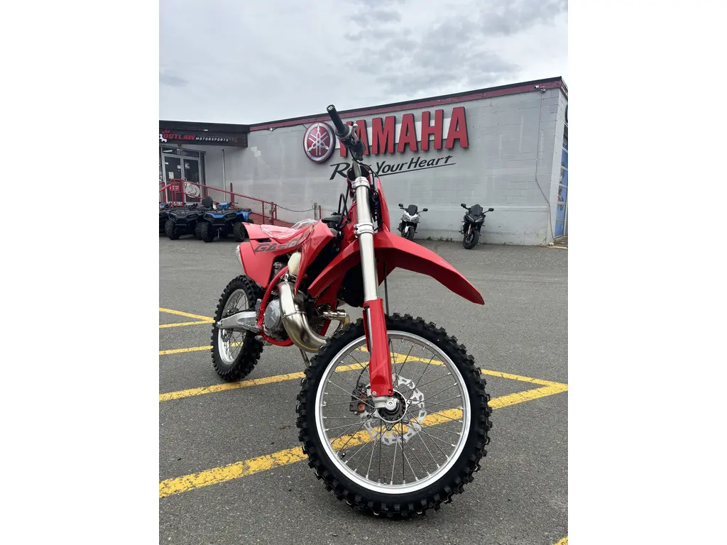 2025 GASGAS EX 300 