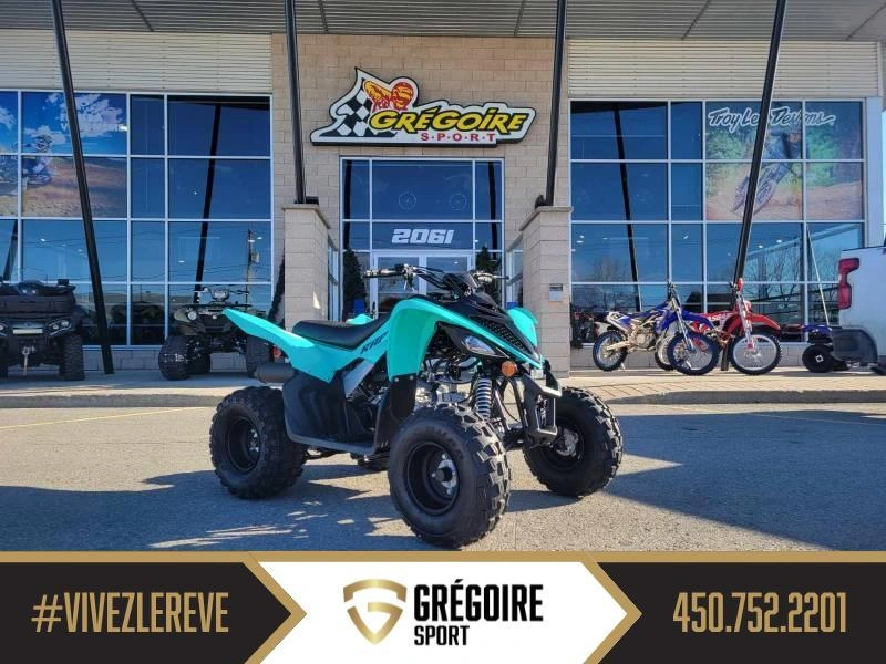 Yamaha Raptor 110 2025 alt