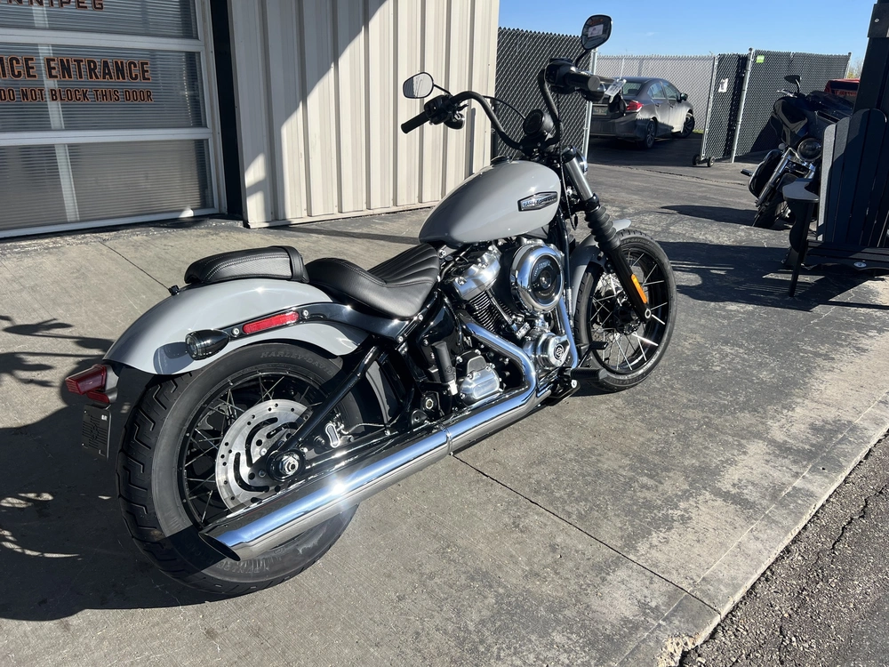 2025 Harley-davidson Street Bob alt