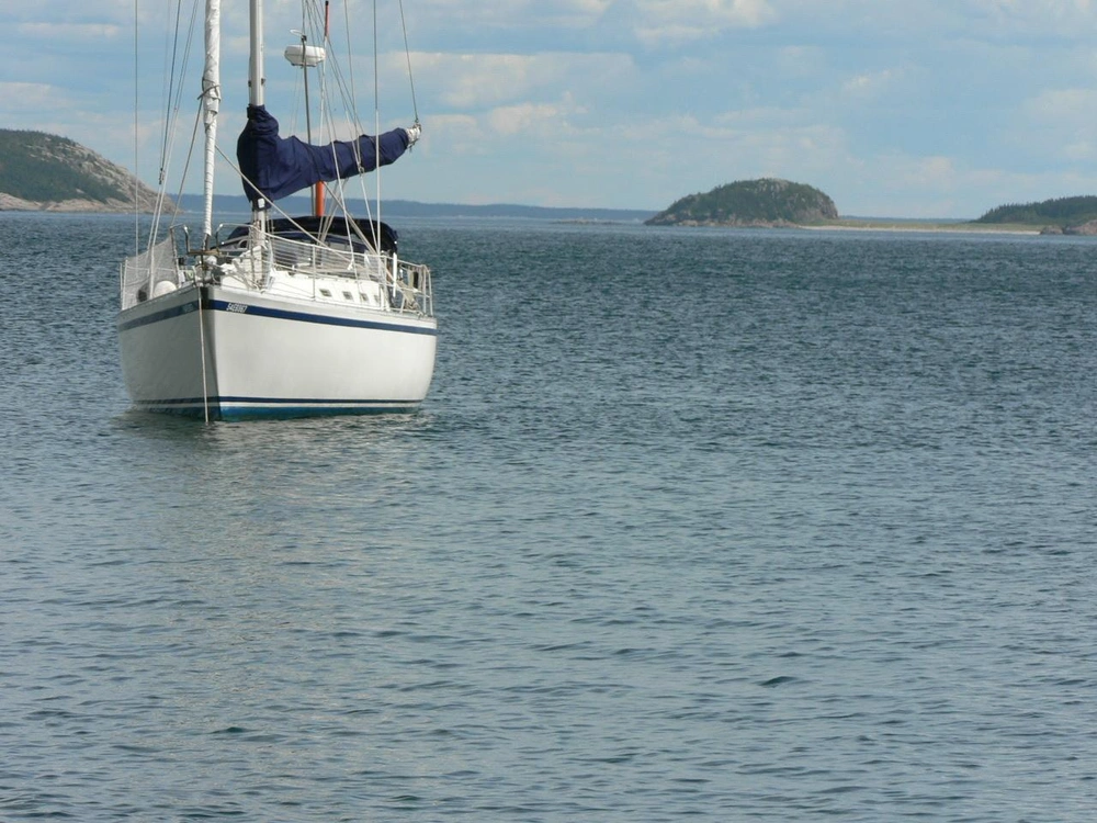 1984 Other Cs 36 alt