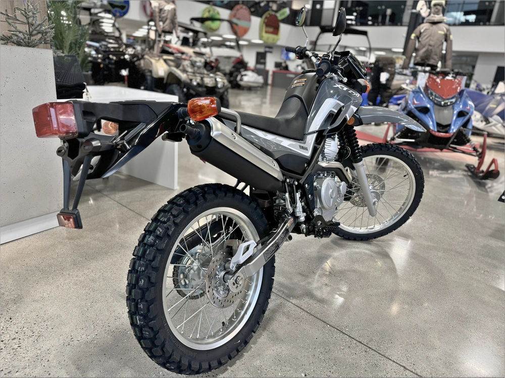 2024 Yamaha Xt250 alt