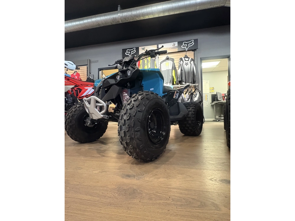 2026 Can-am Ren 2x4 110 alt