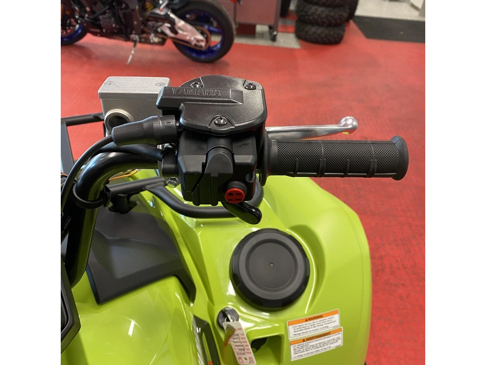 2026 Yamaha Grizzly Eps alt