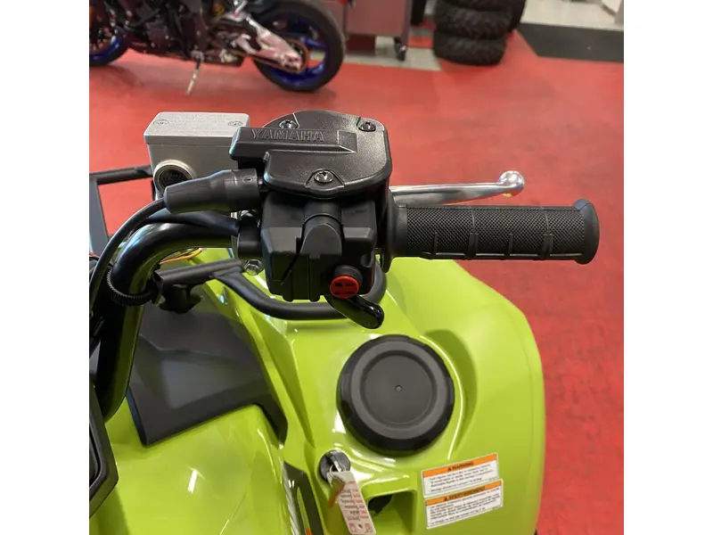 2026 Yamaha GRIZZLY EPS