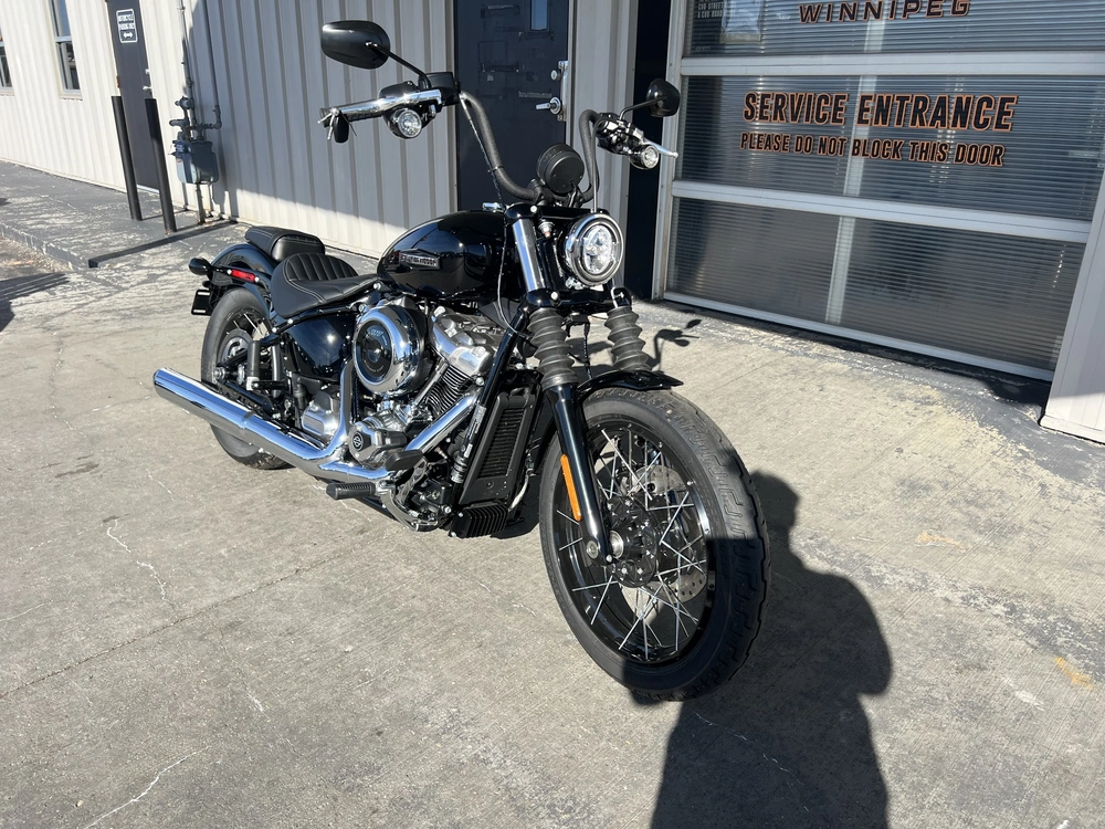 2025 Harley-davidson Street Bob alt