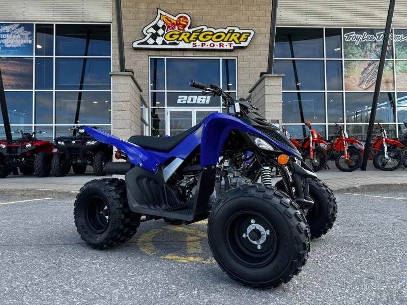 Yamaha Raptor 110 2025 alt