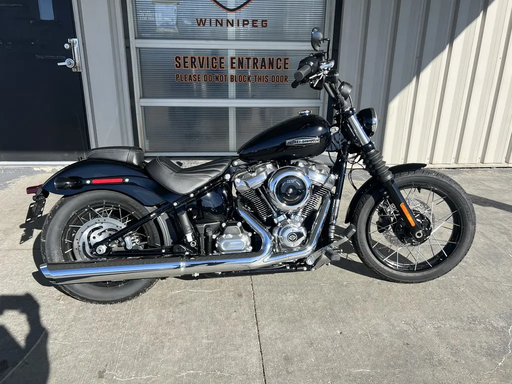 2025 Harley-Davidson STREET BOB