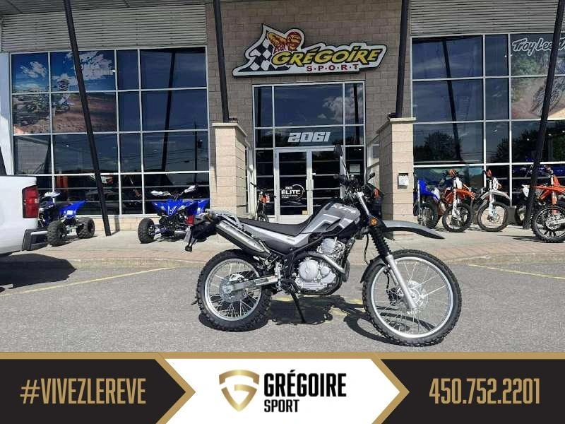 Yamaha Yzf-r7 2024 alt