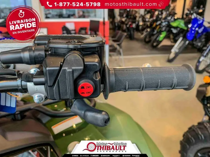 2026 Yamaha Kodiak 700 DAE