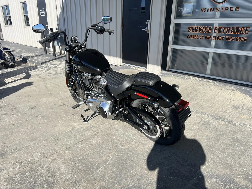 2025 Harley-davidson Street Bob alt