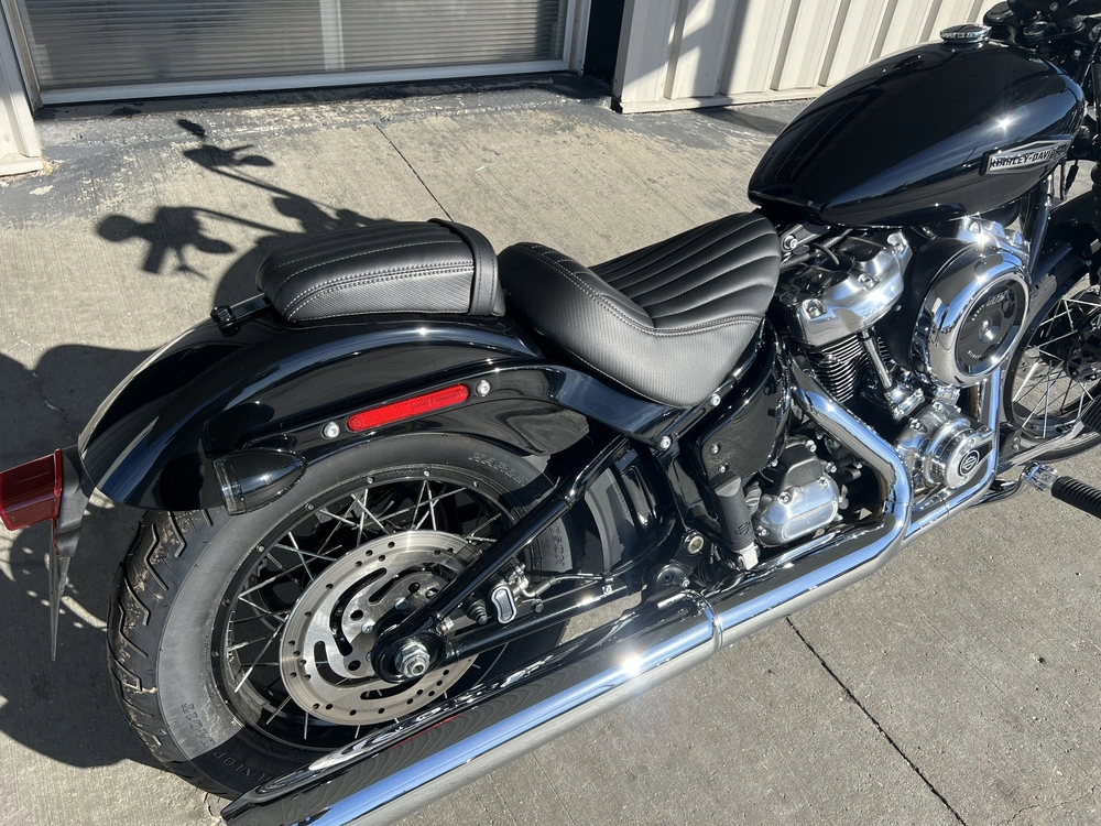 2025 Harley-davidson Street Bob alt