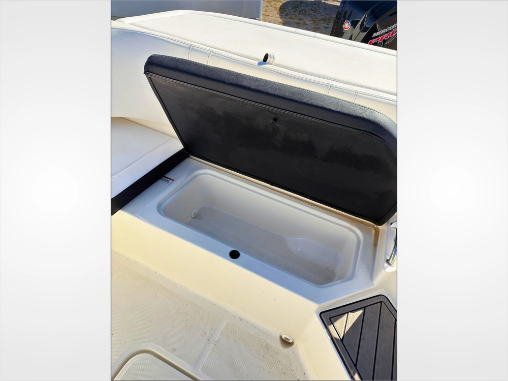 2023 Sea Ray Spx 190 Ob alt