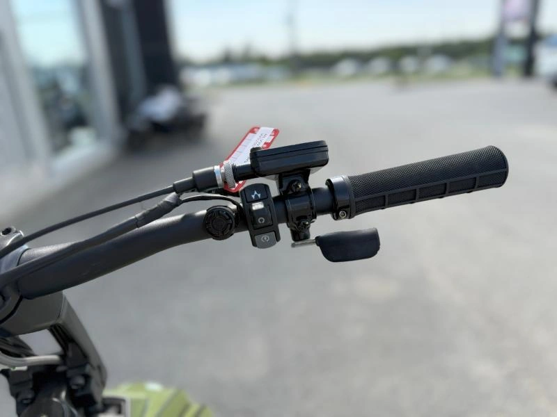2024 Widescape Ws250 alt