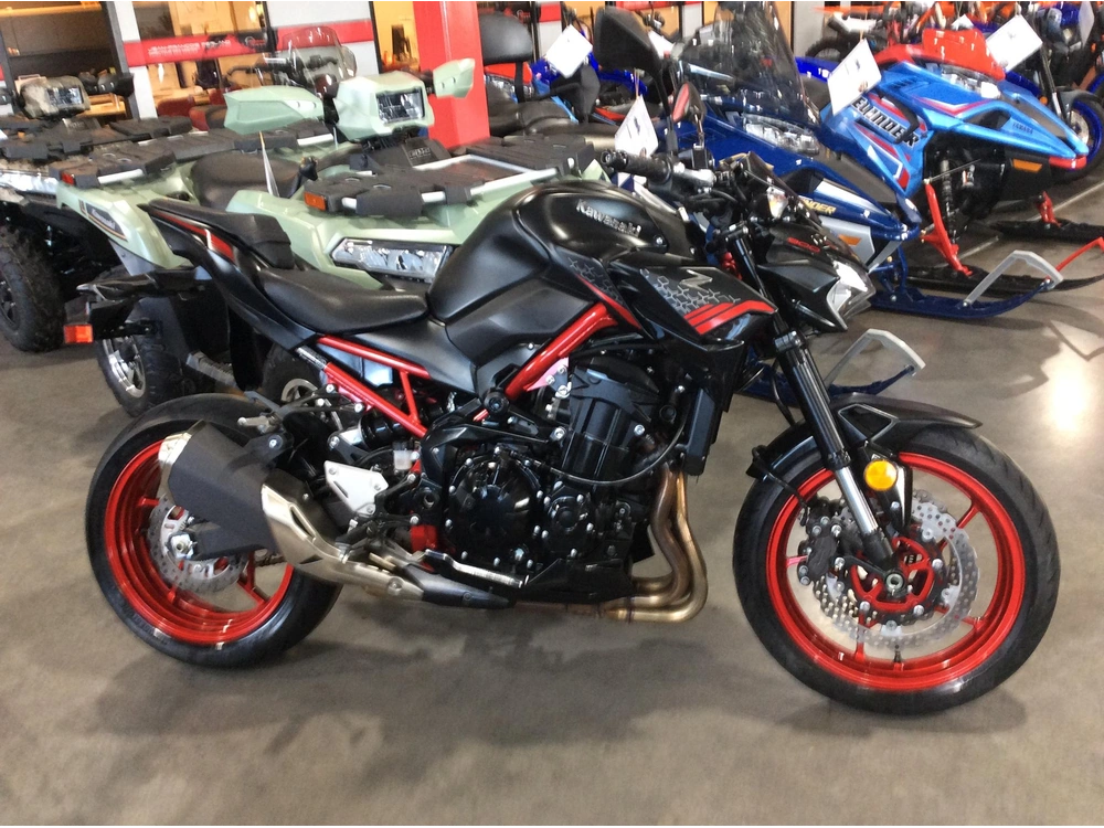 Kawasaki Z900 Abs 2021 alt