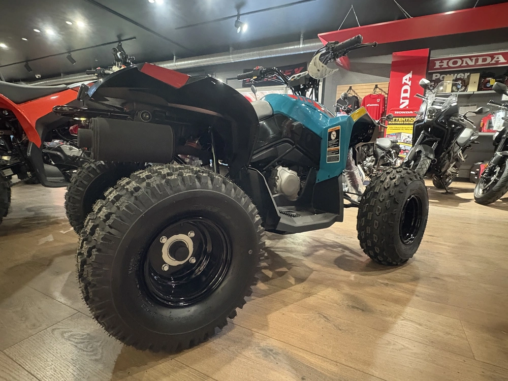 2026 Can-am Ren 2x4 110 alt