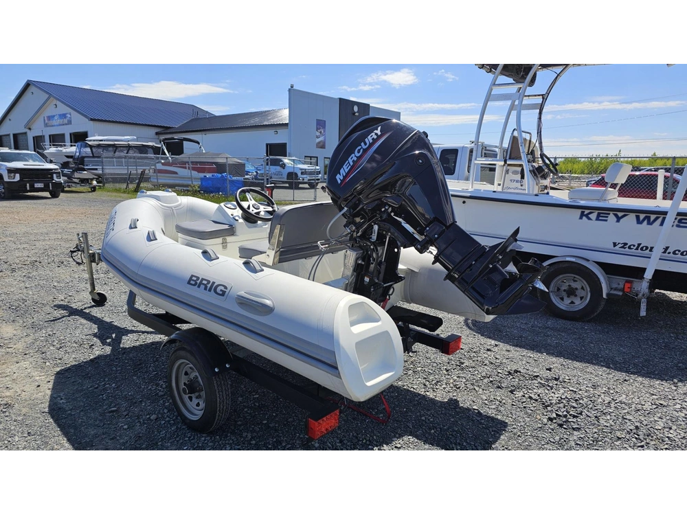 Brig Falcon 300 2020 alt