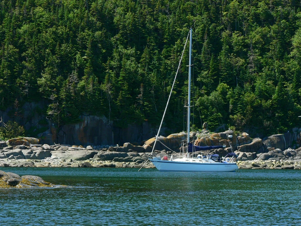 1984 Other Cs 36 alt