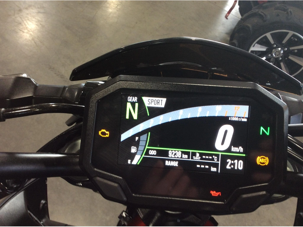 Kawasaki Z900 Abs 2021 alt