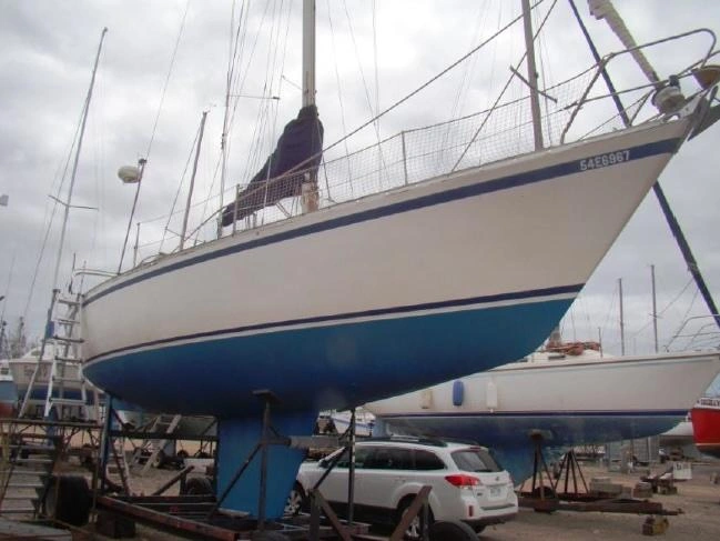 1984 Other Cs 36 alt